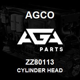 ZZ80113 Agco CYLINDER HEAD | AGA Parts