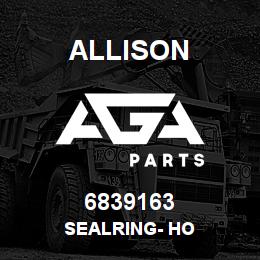 6839163 Allison SEALRING- HO | AGA Parts