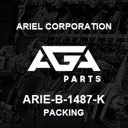 ARIE-B-1487-K Ariel Corporation PACKING | AGA Parts
