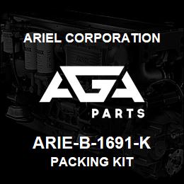 ARIE-B-1691-K Ariel Corporation PACKING KIT | AGA Parts