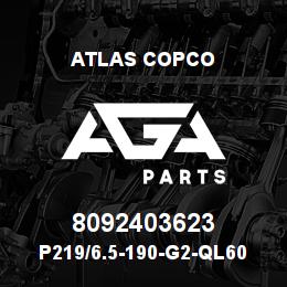 8092403623 Atlas Copco P219/6.5-190-G2-QL60 PILOT | AGA Parts