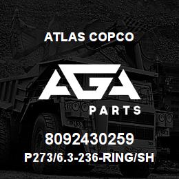 8092430259 Atlas Copco P273/6.3-236-RING/SHOE SET | AGA Parts
