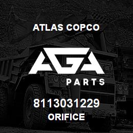 8113031229 Atlas Copco ORIFICE | AGA Parts