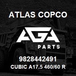 9828442491 Atlas Copco CUBIC A17.5 460/60 RAL7021 LD | AGA Parts