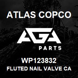 WP123832 Atlas Copco FLUTED NAIL VALVE CASE | AGA Parts