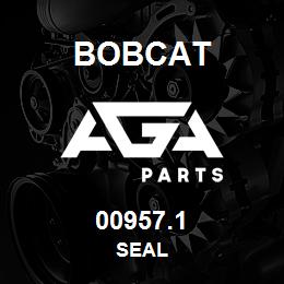 00957.1 Bobcat SEAL | AGA Parts