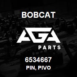 6534667 Bobcat PIN, PIVO | AGA Parts