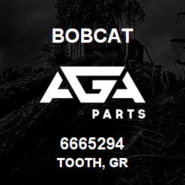 6665294 Bobcat TOOTH, GR | AGA Parts