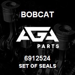 6912524 Bobcat SET OF SEALS | AGA Parts