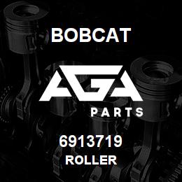 6913719 Bobcat ROLLER | AGA Parts