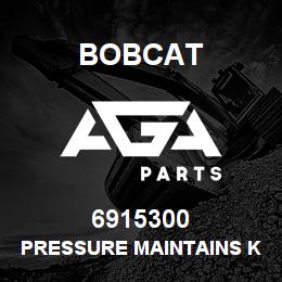 6915300 Bobcat PRESSURE MAINTAINS KIT | AGA Parts