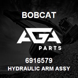 6916579 Bobcat HYDRAULIC ARM ASSY | AGA Parts