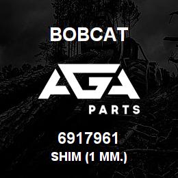6917961 Bobcat SHIM (1 MM.) | AGA Parts
