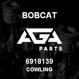 6918139 Bobcat COWLING | AGA Parts