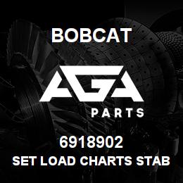 6918902 Bobcat SET LOAD CHARTS STABILIZER | AGA Parts