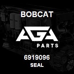 6919096 Bobcat SEAL | AGA Parts