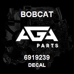 6919239 Bobcat DECAL | AGA Parts