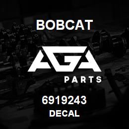 6919243 Bobcat DECAL | AGA Parts