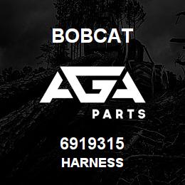 6919315 Bobcat HARNESS | AGA Parts