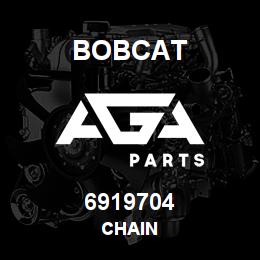 6919704 Bobcat CHAIN | AGA Parts