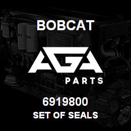 6919800 Bobcat SET OF SEALS | AGA Parts