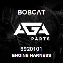 6920101 Bobcat ENGINE HARNESS | AGA Parts