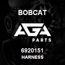 6920151 Bobcat HARNESS | AGA Parts