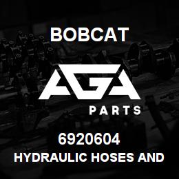 6920604 Bobcat HYDRAULIC HOSES AND | AGA Parts
