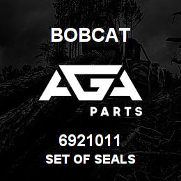 6921011 Bobcat SET OF SEALS | AGA Parts
