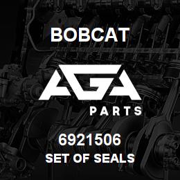 6921506 Bobcat SET OF SEALS | AGA Parts