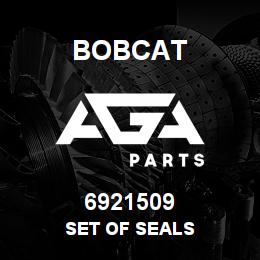 6921509 Bobcat SET OF SEALS | AGA Parts