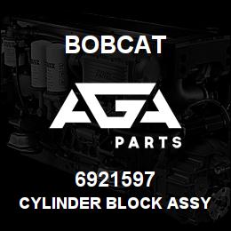 6921597 Bobcat CYLINDER BLOCK ASSY | AGA Parts