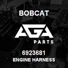 6923681 Bobcat ENGINE HARNESS | AGA Parts