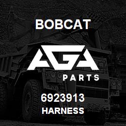 6923913 Bobcat HARNESS | AGA Parts