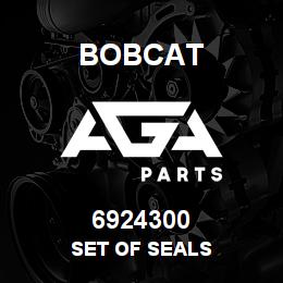 6924300 Bobcat SET OF SEALS | AGA Parts