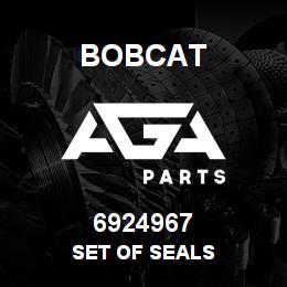 6924967 Bobcat SET OF SEALS | AGA Parts