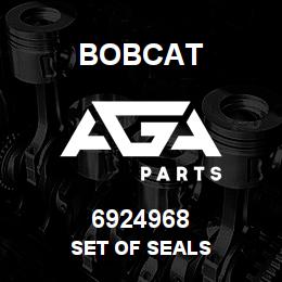 6924968 Bobcat SET OF SEALS | AGA Parts
