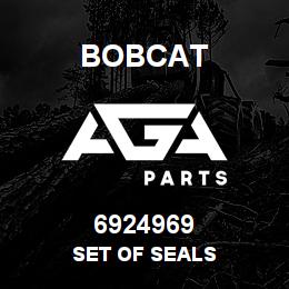 6924969 Bobcat SET OF SEALS | AGA Parts