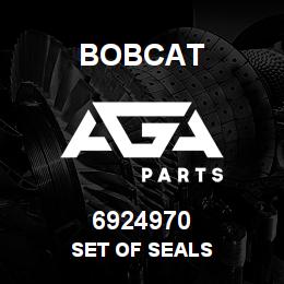 6924970 Bobcat SET OF SEALS | AGA Parts