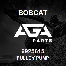6925615 Bobcat PULLEY PUMP | AGA Parts