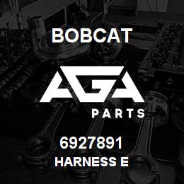 6927891 Bobcat HARNESS E | AGA Parts