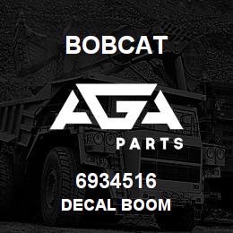 6934516 Bobcat DECAL BOOM | AGA Parts