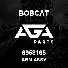 6958165 Bobcat ARM ASSY | AGA Parts