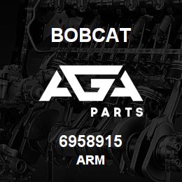 6958915 Bobcat ARM | AGA Parts