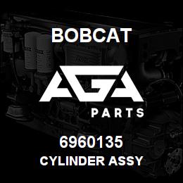 6960135 Bobcat CYLINDER ASSY | AGA Parts