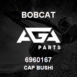 6960167 Bobcat CAP BUSHI | AGA Parts