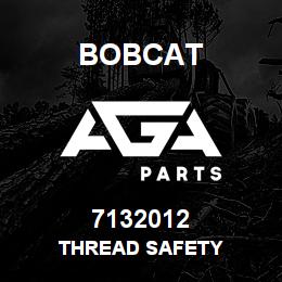 7132012 Bobcat THREAD SAFETY | AGA Parts