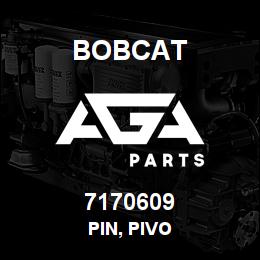 7170609 Bobcat PIN, PIVO | AGA Parts