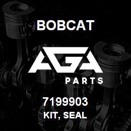 7199903 Bobcat KIT, SEAL | AGA Parts