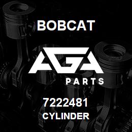 7222481 Bobcat CYLINDER | AGA Parts
